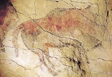 Bison aus den Höhlen von Altamira, um 15000 v. Chr.